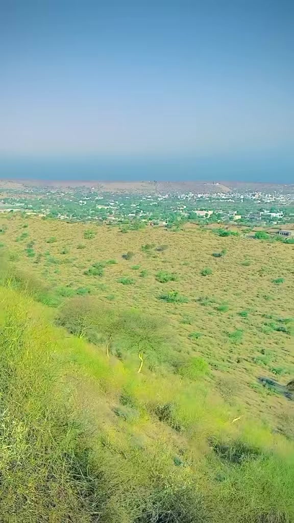 @Junejo