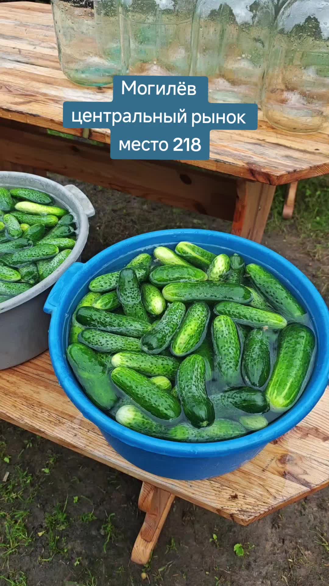 @Картофель Могилёв