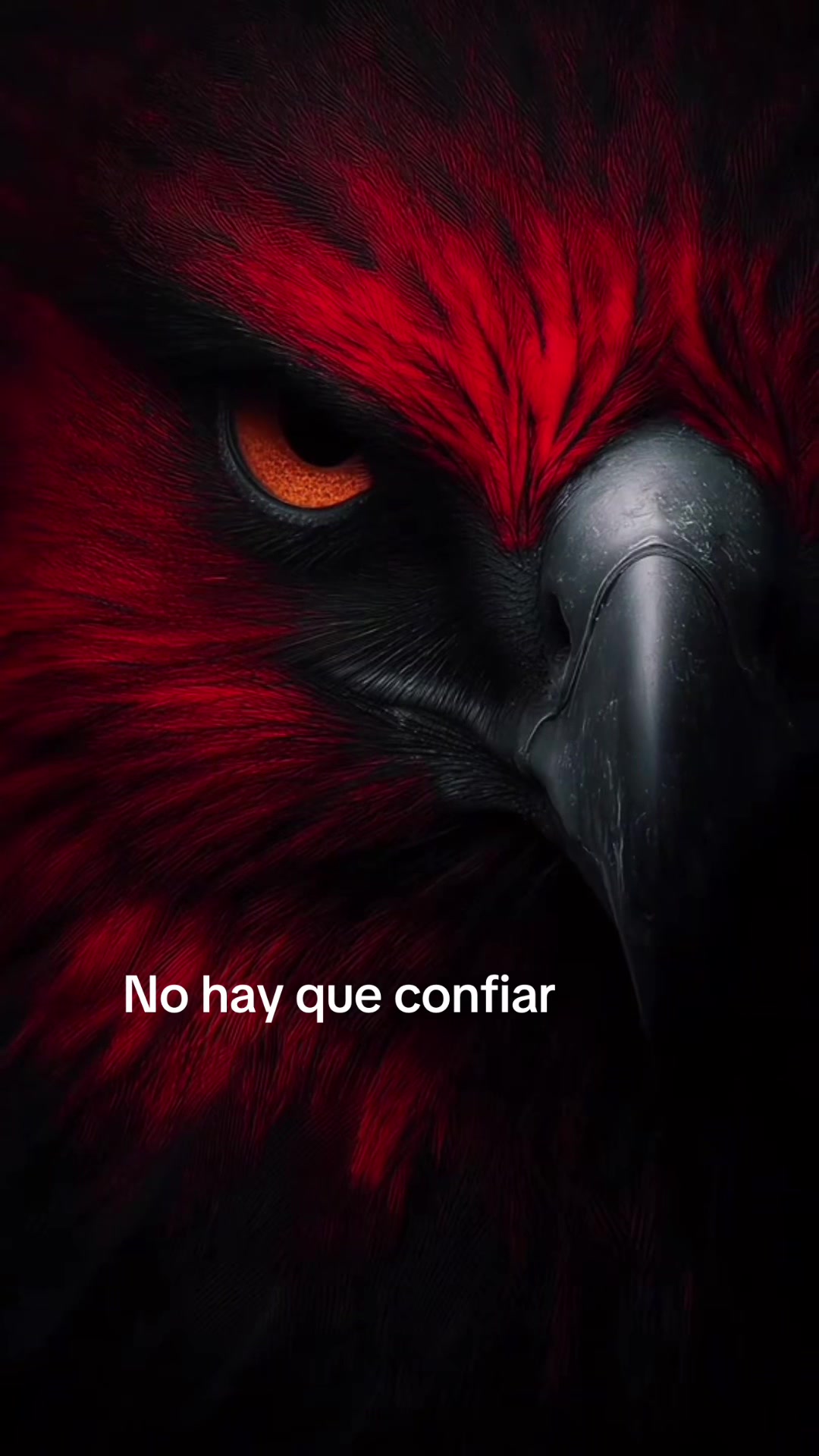 @Alexandra Rosases