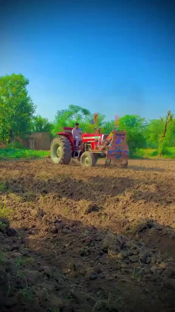 @😈استاد علی مانگوال آلہ 😈
