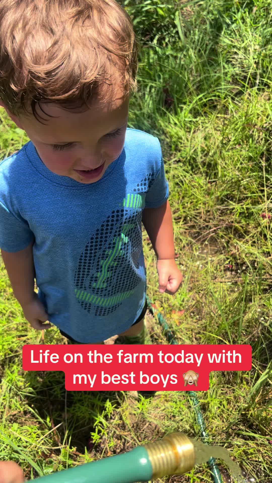 @SE Boston Terriers