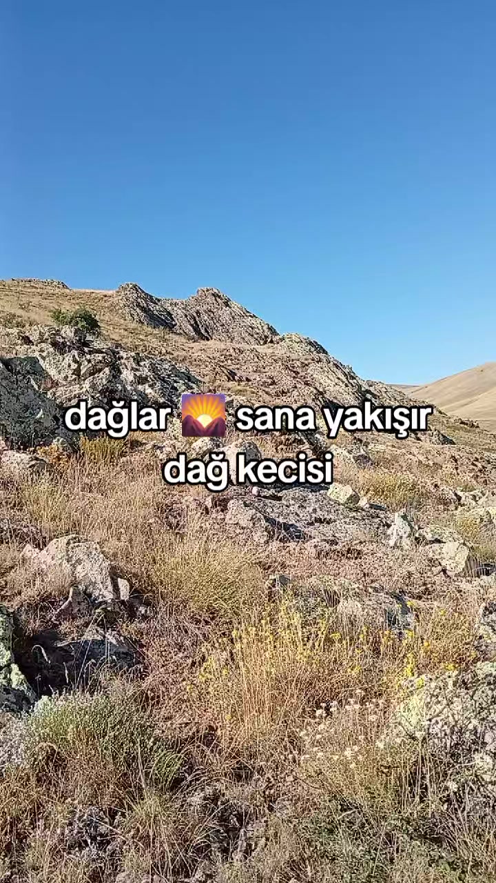 @Yusuf Aycan