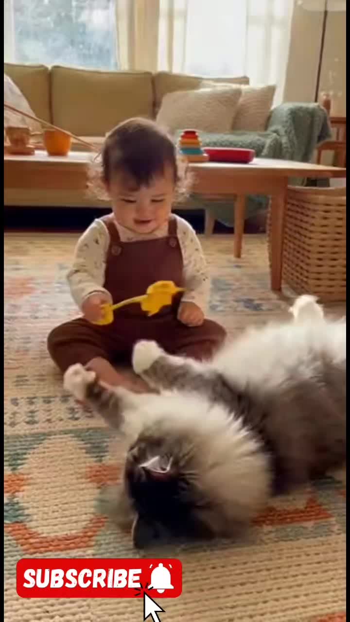 @Cute Baby Puppy Loves