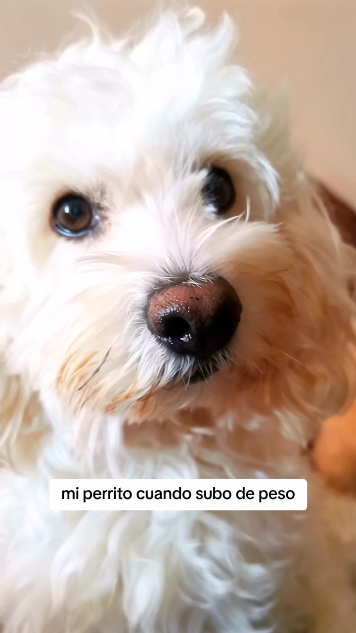 @Doki🦴🐾