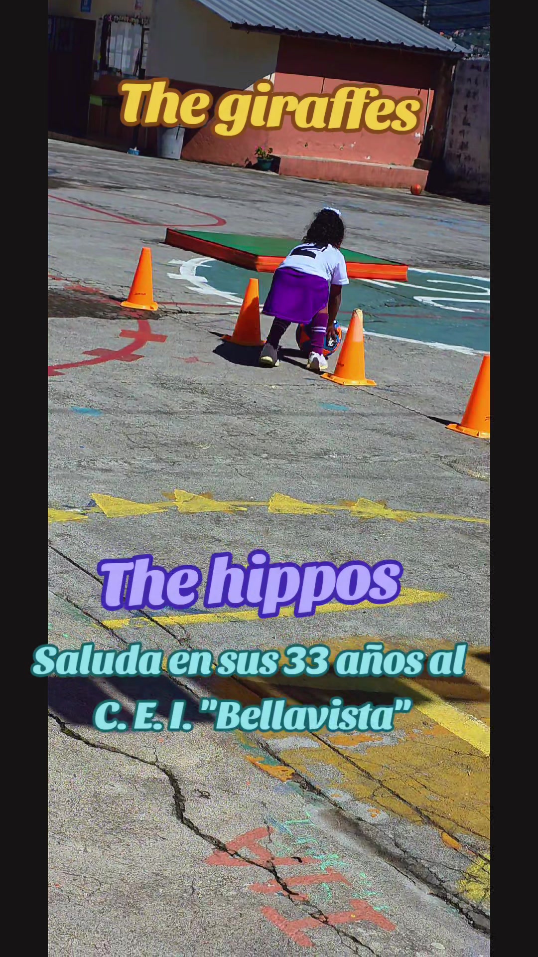 @CEI BELLAVISTA
