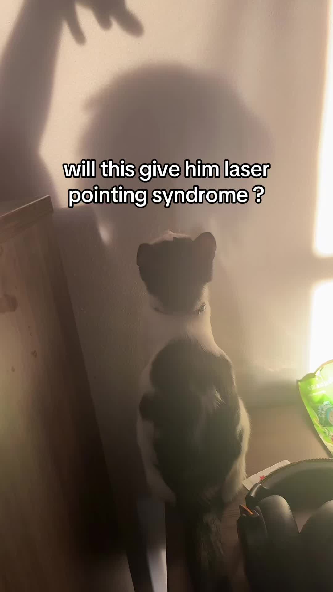 @ShawnWasHere