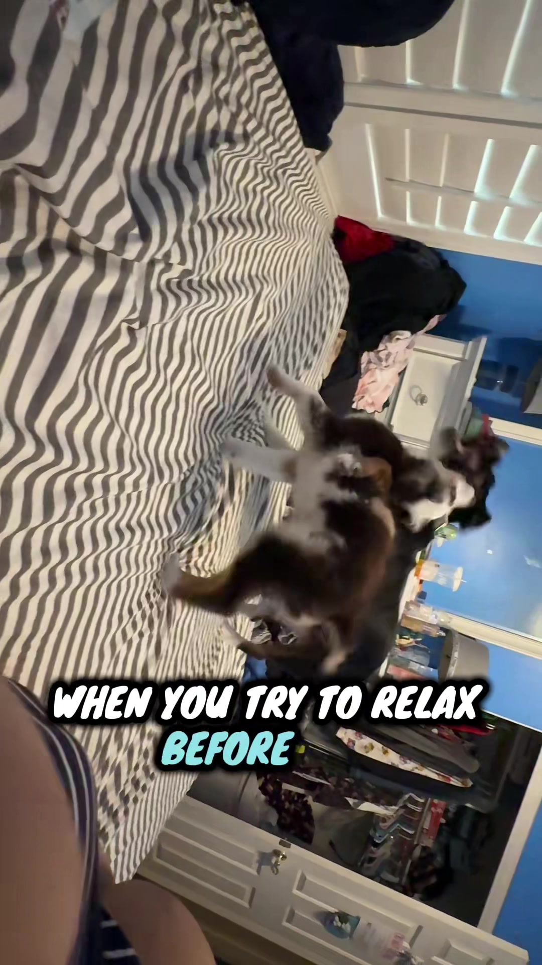 @TaleTellerOfTikTok