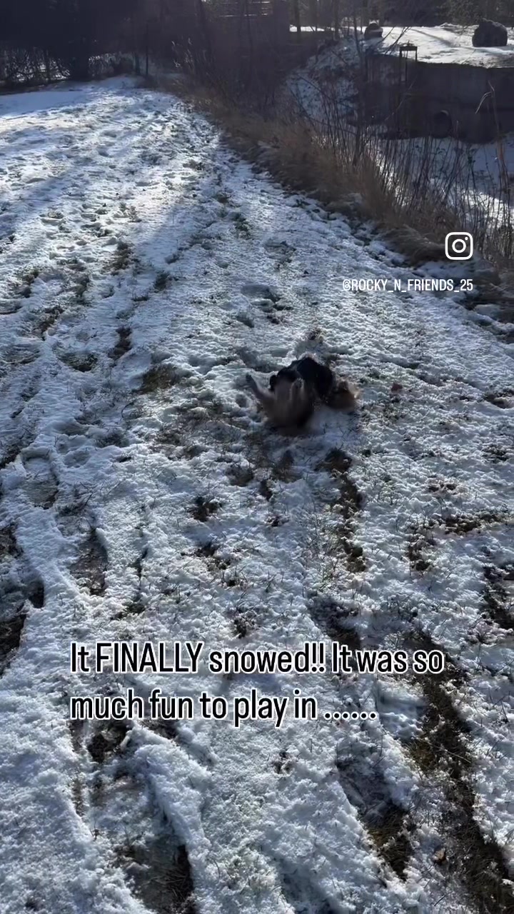 @rocky_n_friends25