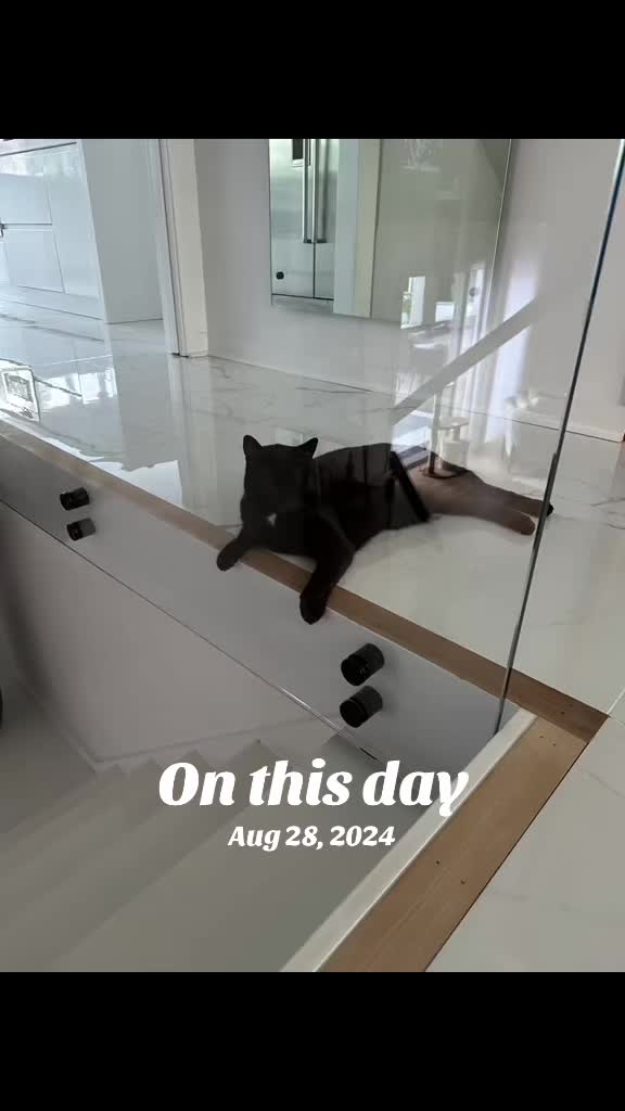 @Oscar Jeremy the cat!