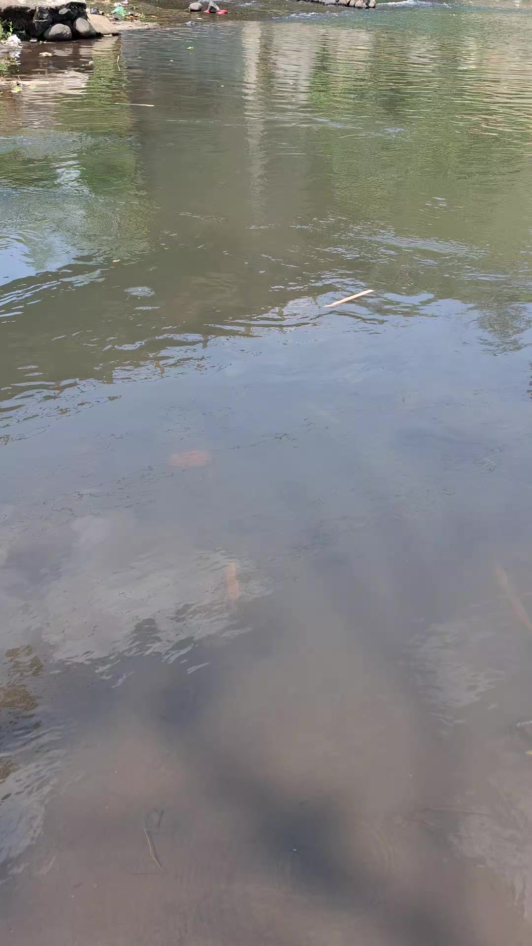 @Gasle Fishing
