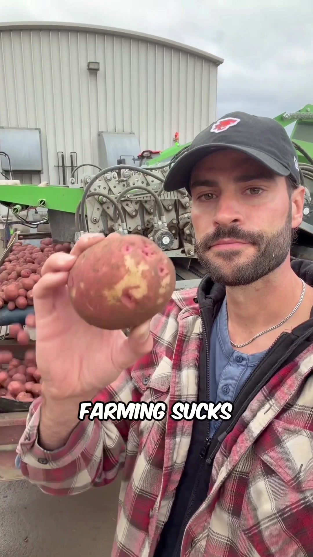 @Potato Ty