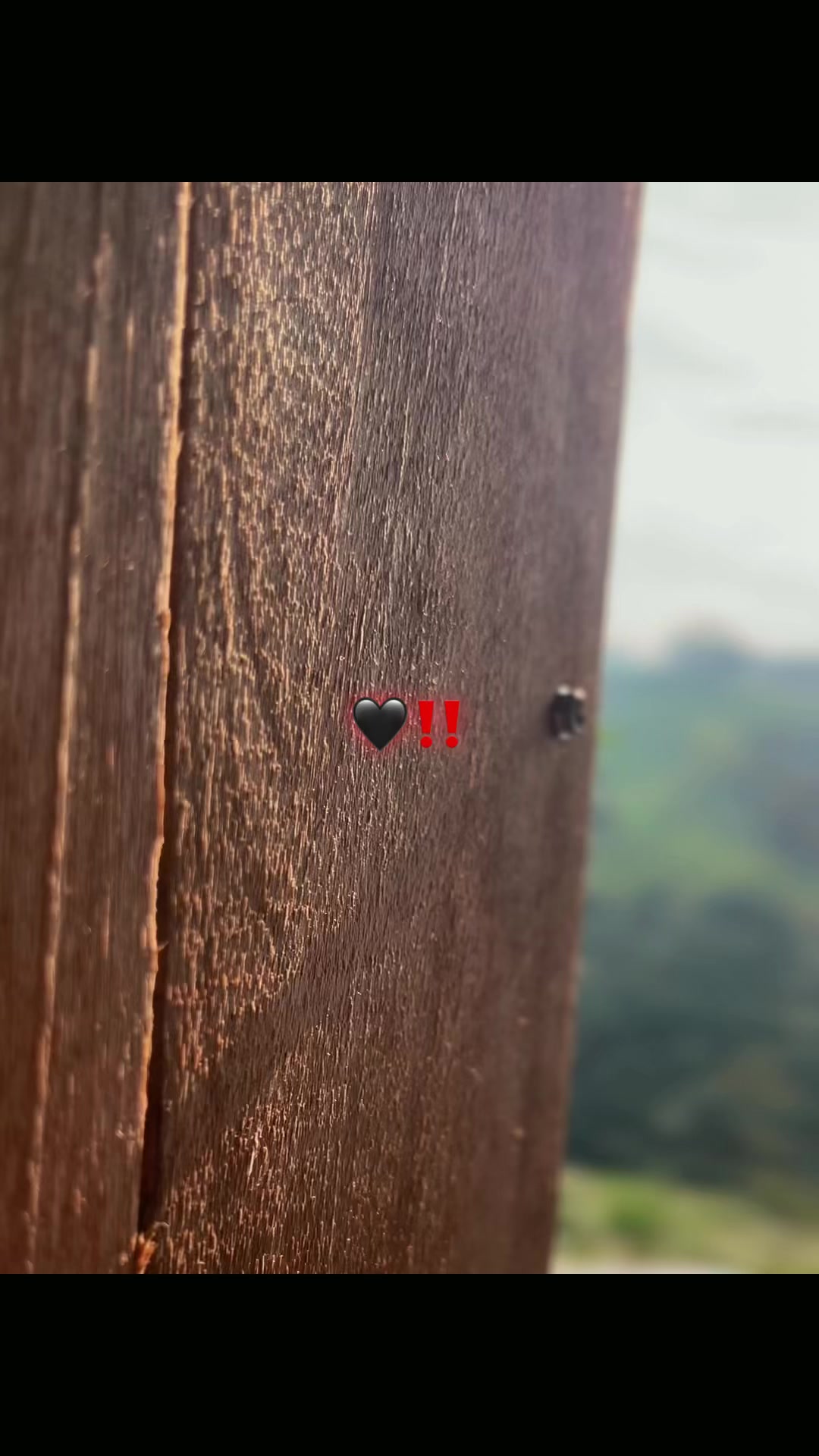 @🇪🇨⋆A⋆x⋆e⋆l 