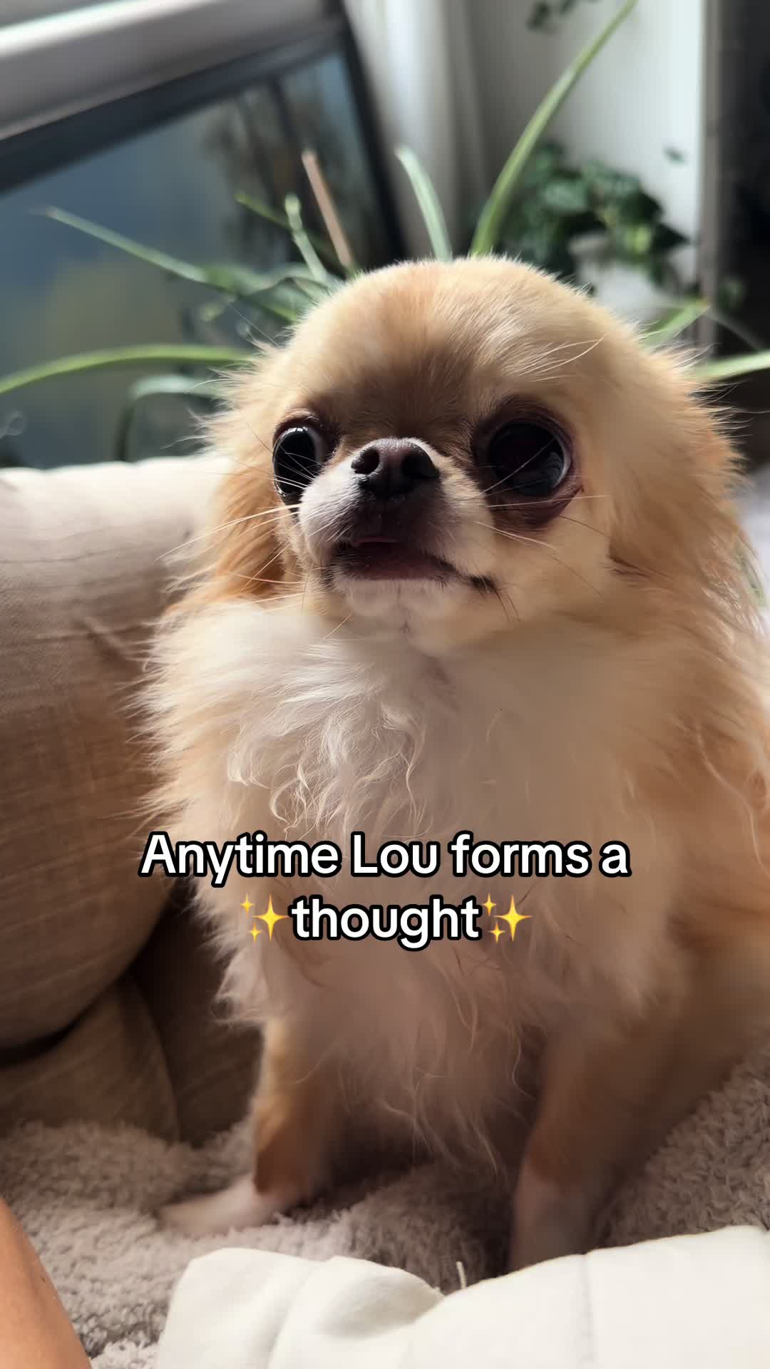 @Stuey & Louie
