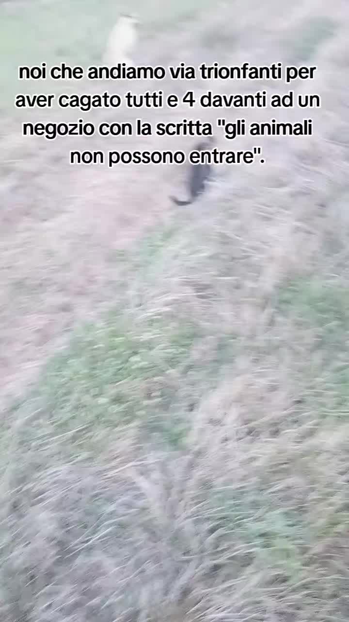 @La tribù del conte Max