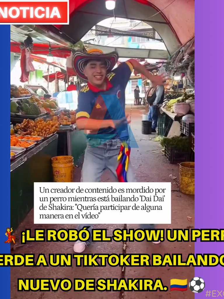 @Alternativas Tv