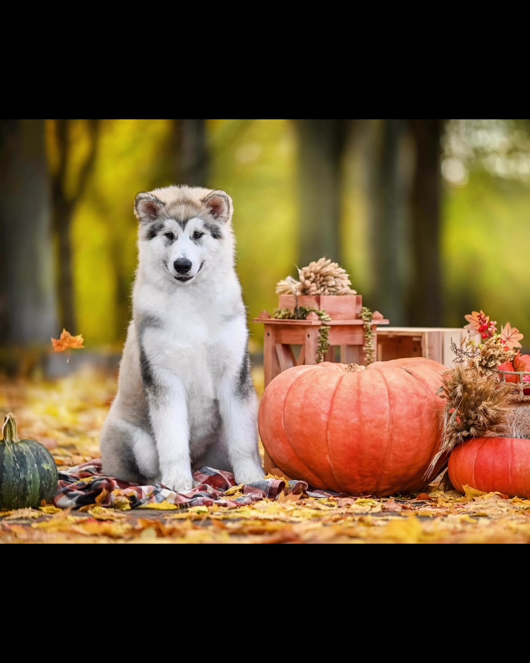 @Юлия Мистоева