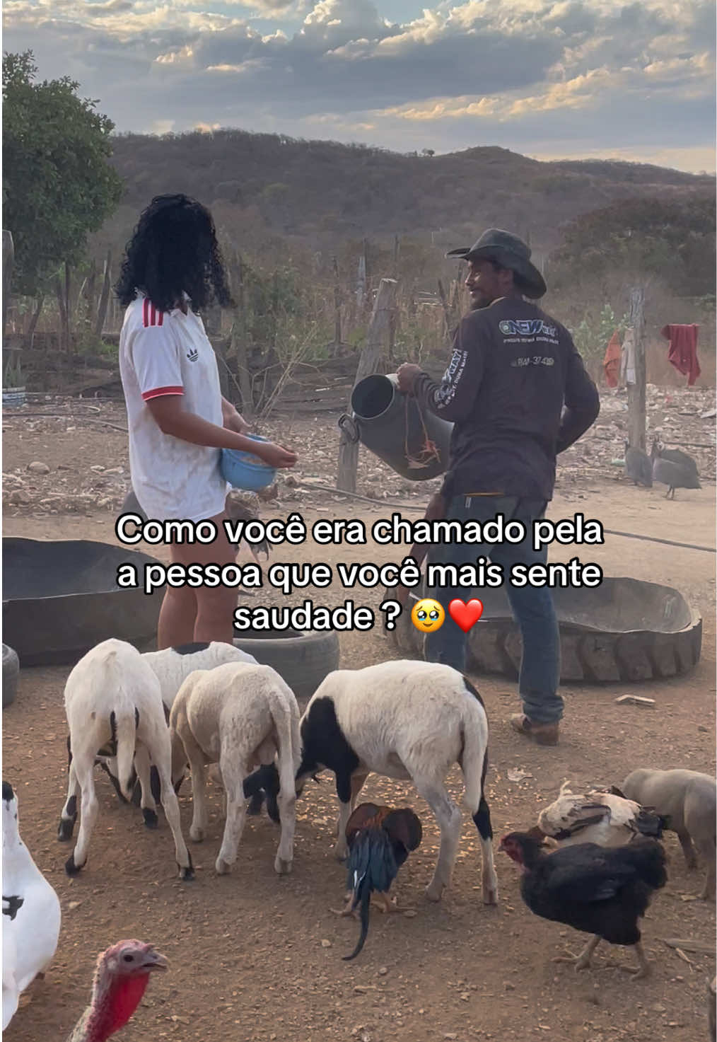 @monicadejatoba