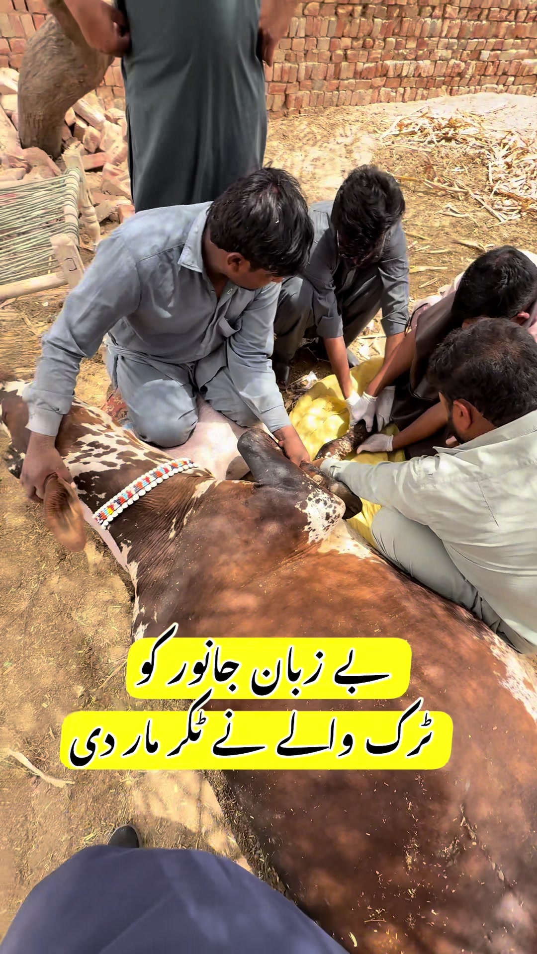 @Dr.Mohsin