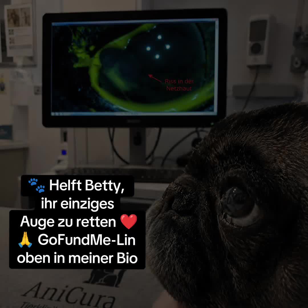 @Dr. Betty Boo