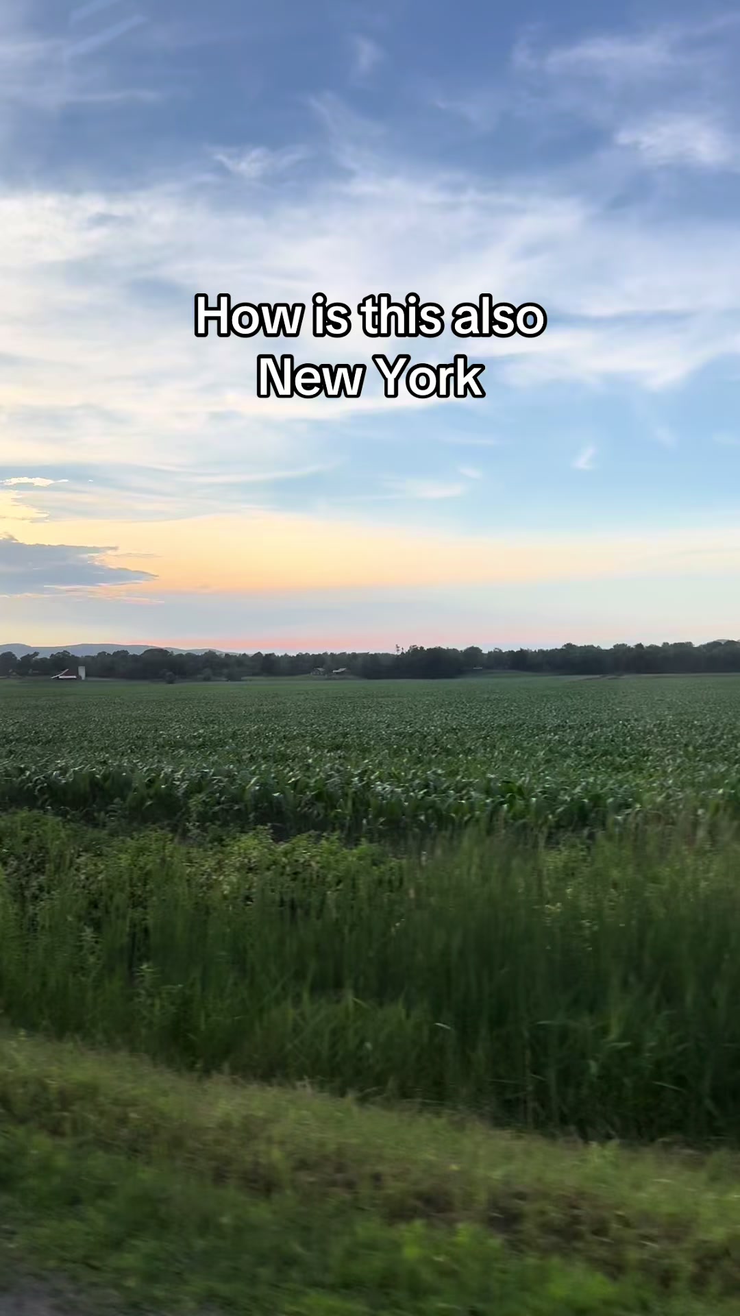 @Susie