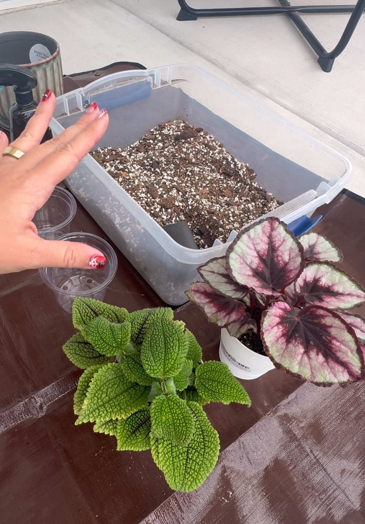 @vixvaporubb