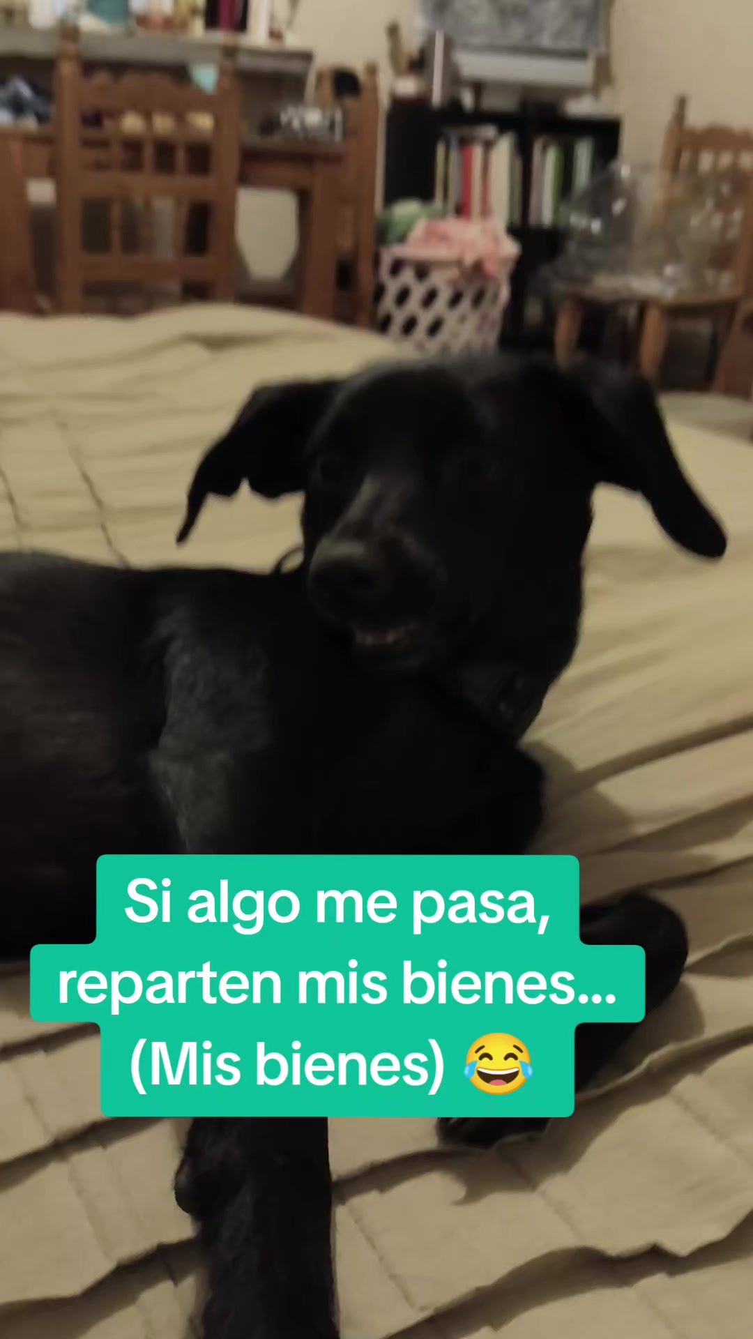 @Ivette Montaño