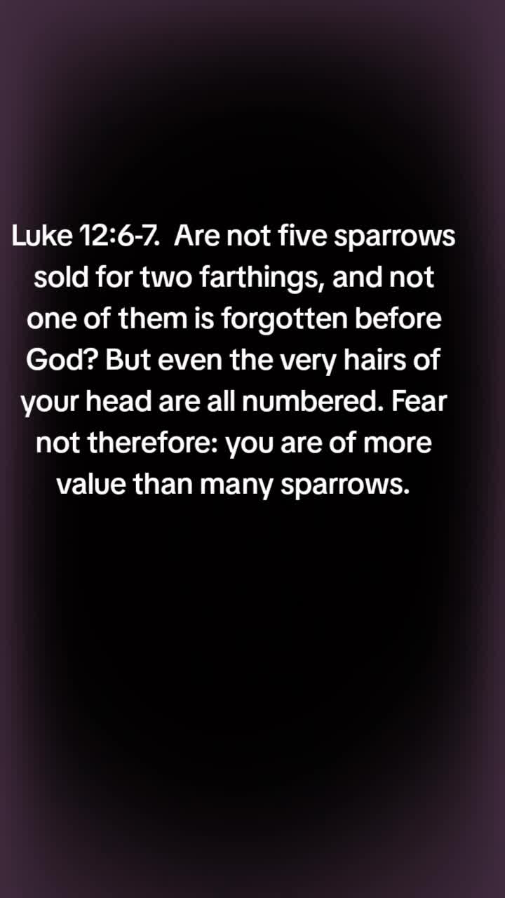 @seek God first