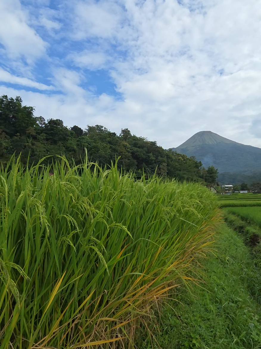 @Slow living Trawas