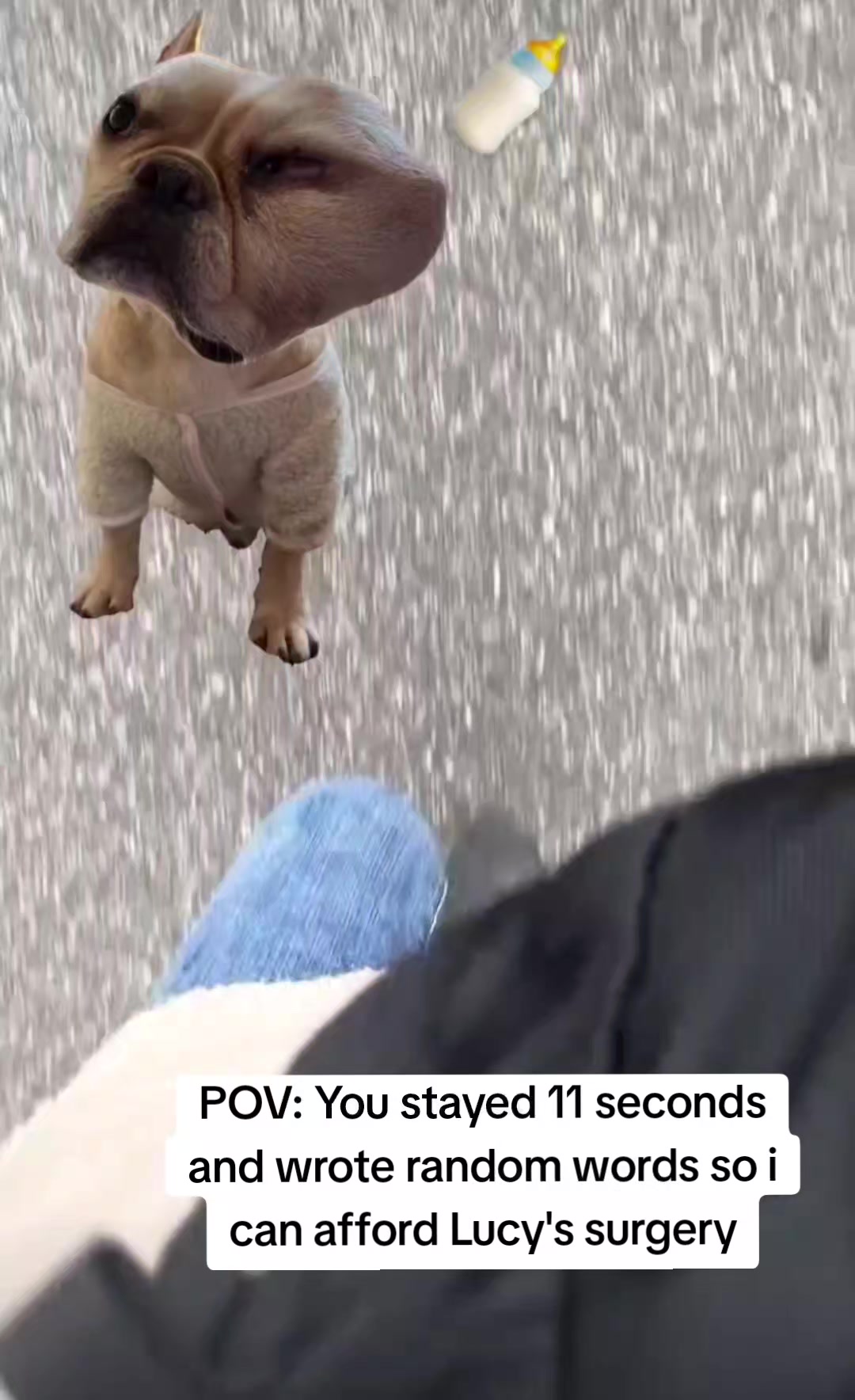 @CancerFighterPup