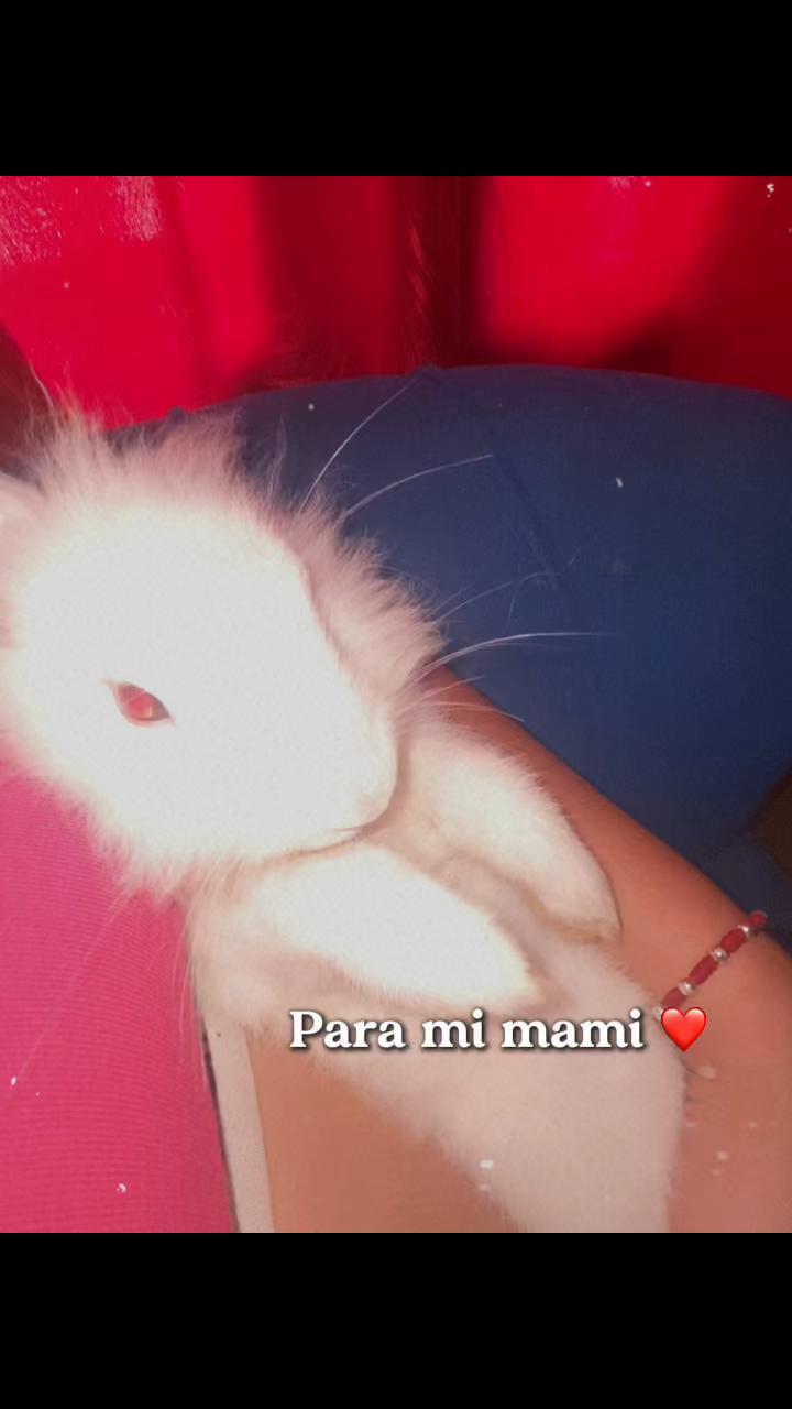 @Luisa ❣️