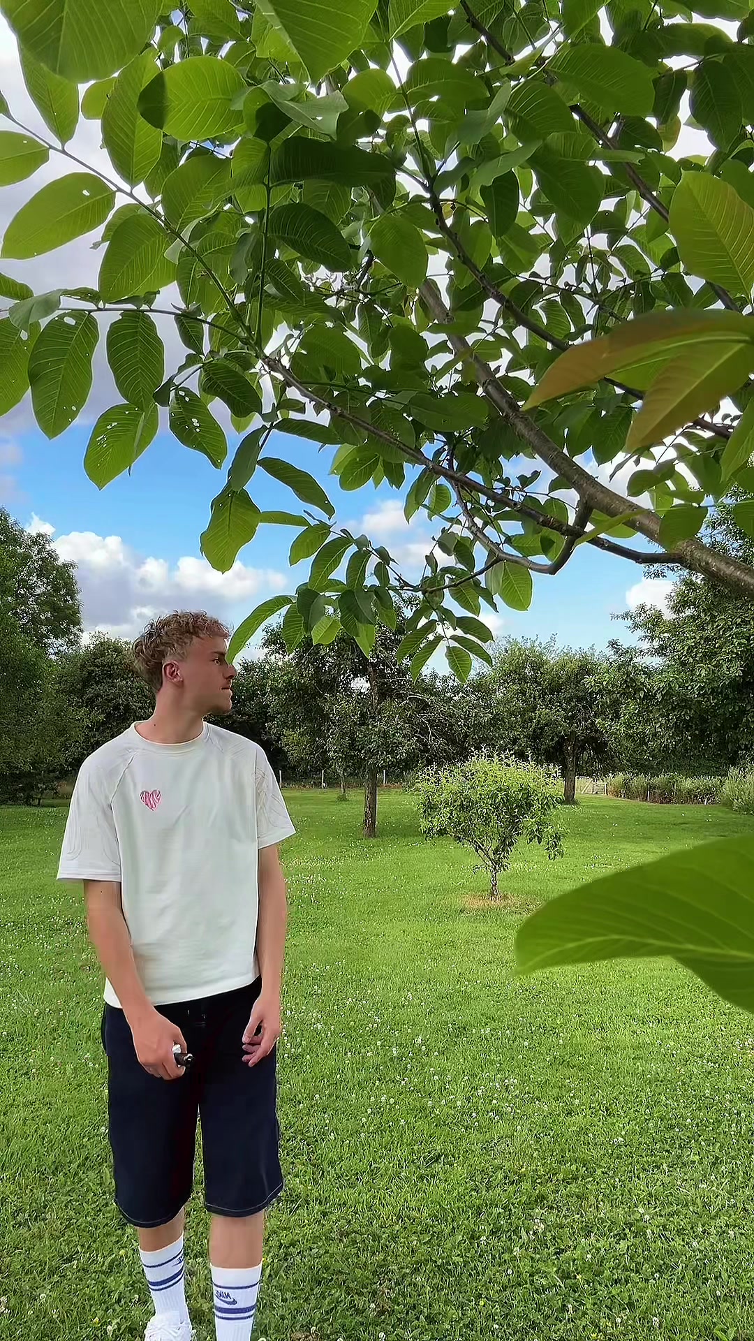 @𝑰 𝑫 𝒁 𝒀