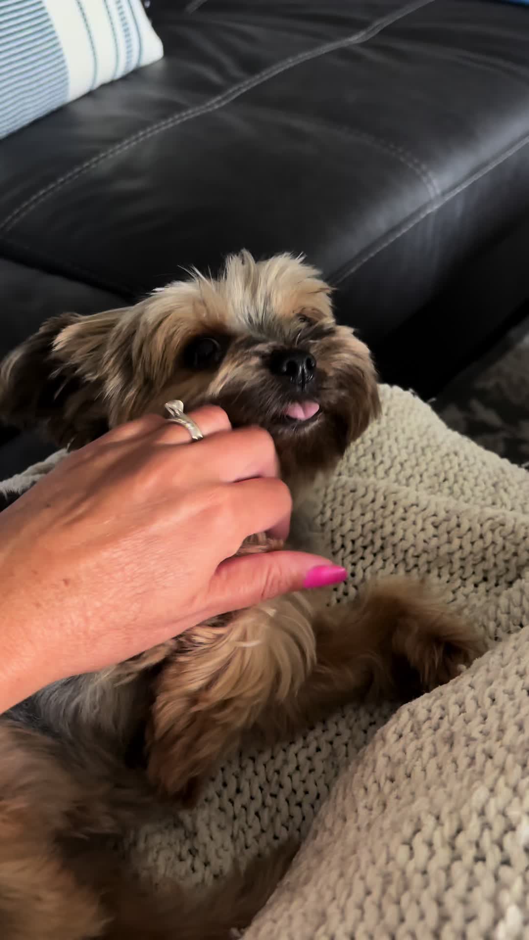 @Tina