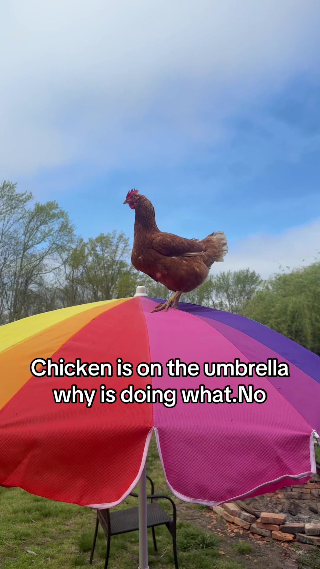 @No