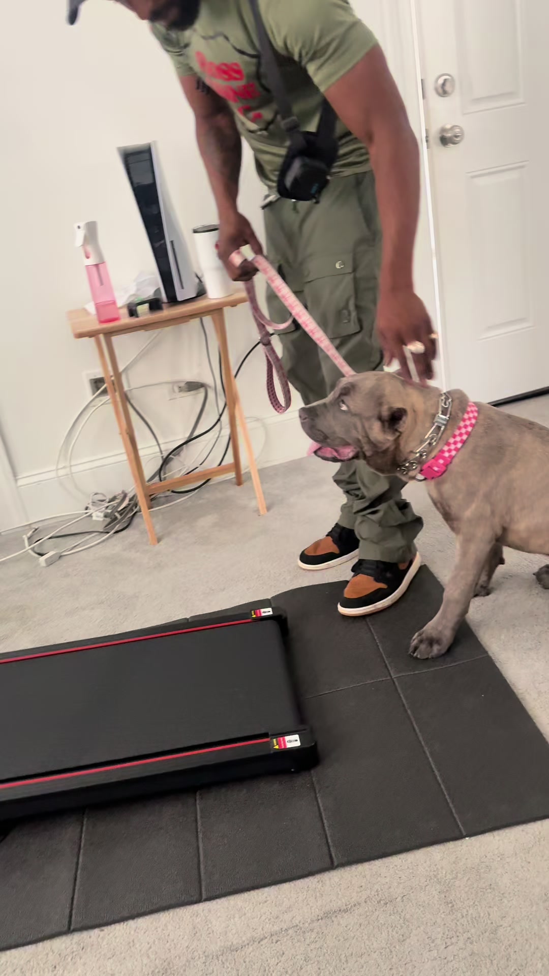 @Boss Canine
