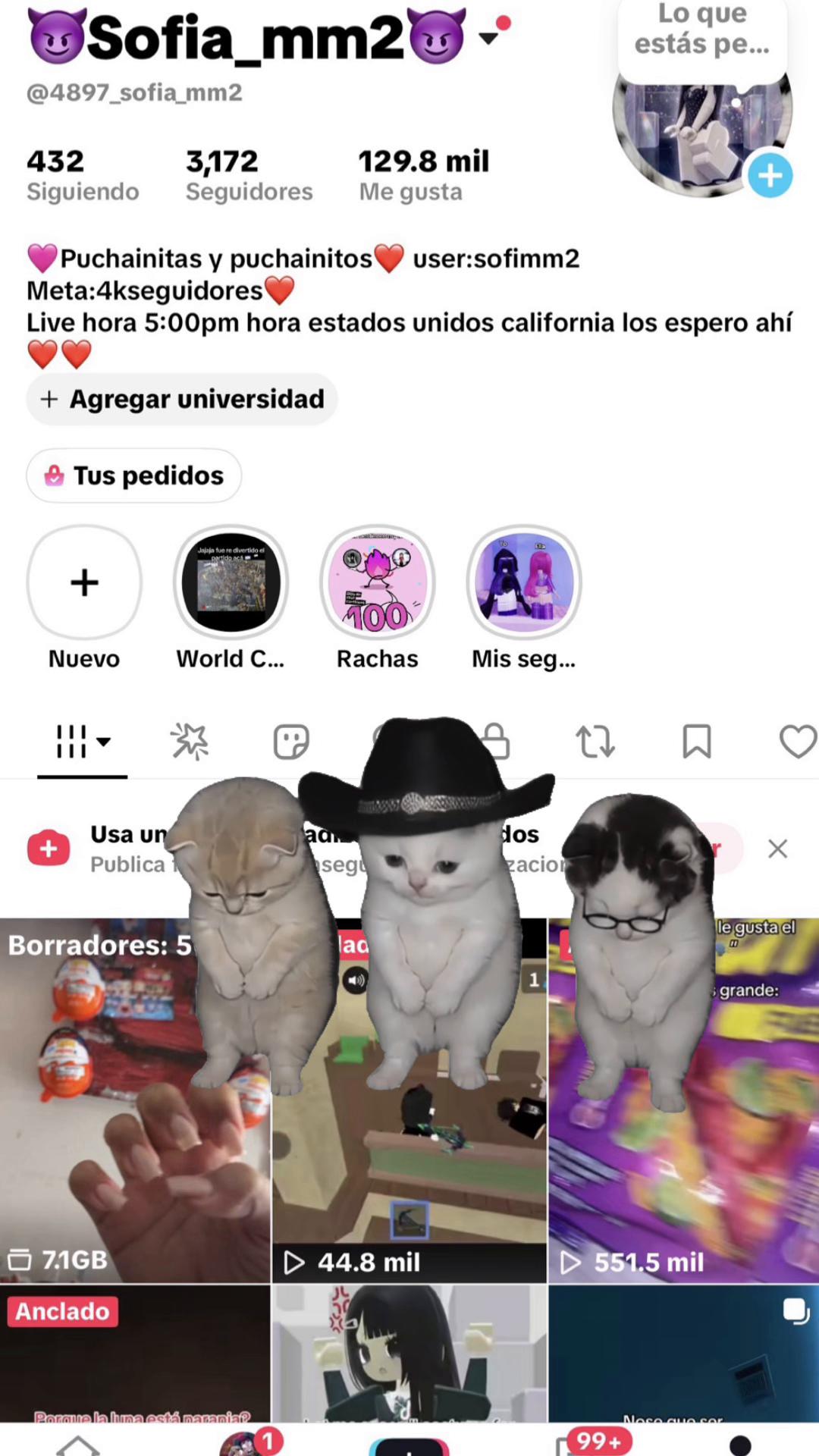 @😈Sofia_mm2😈