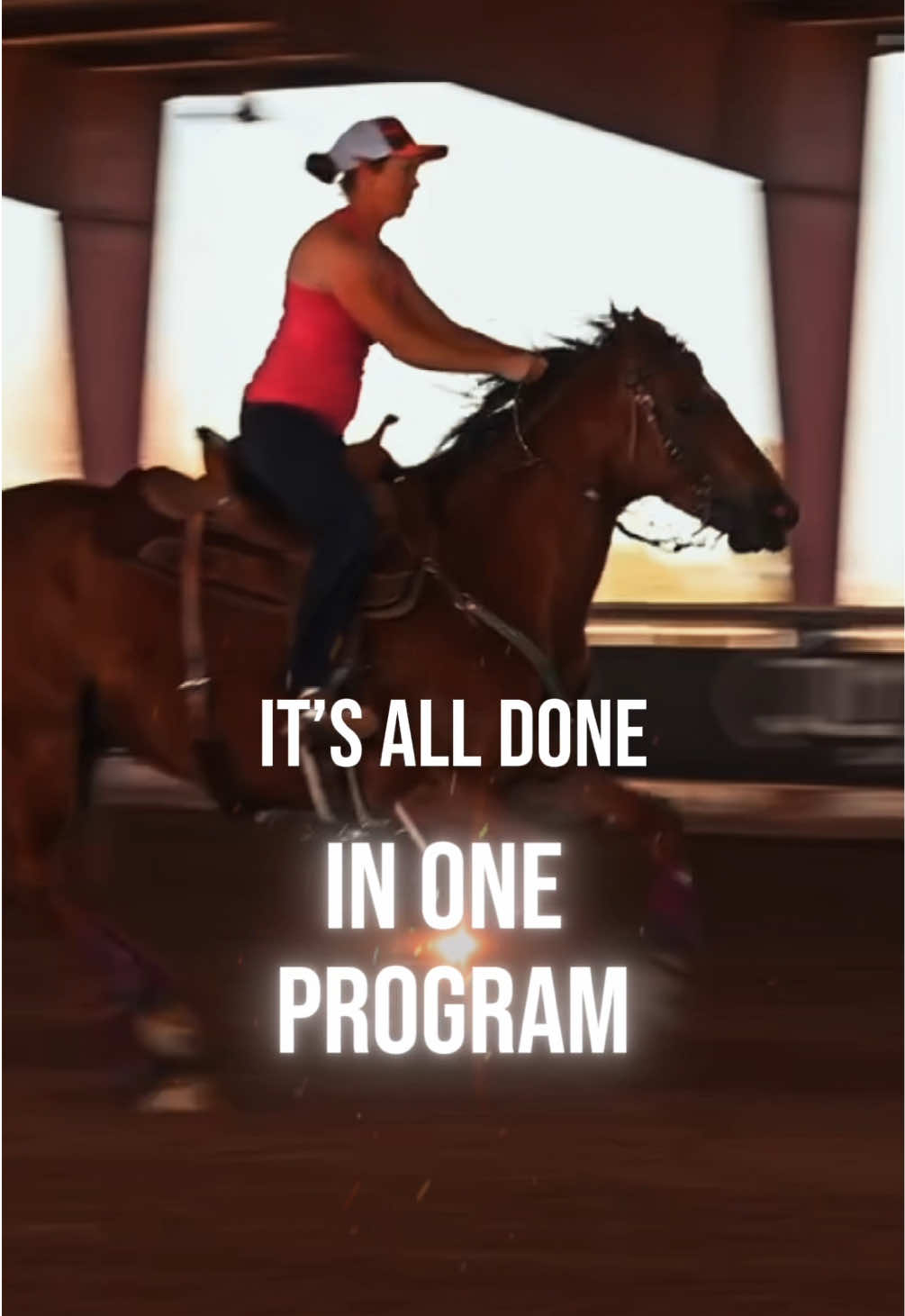 @Supercharge Performance Horses