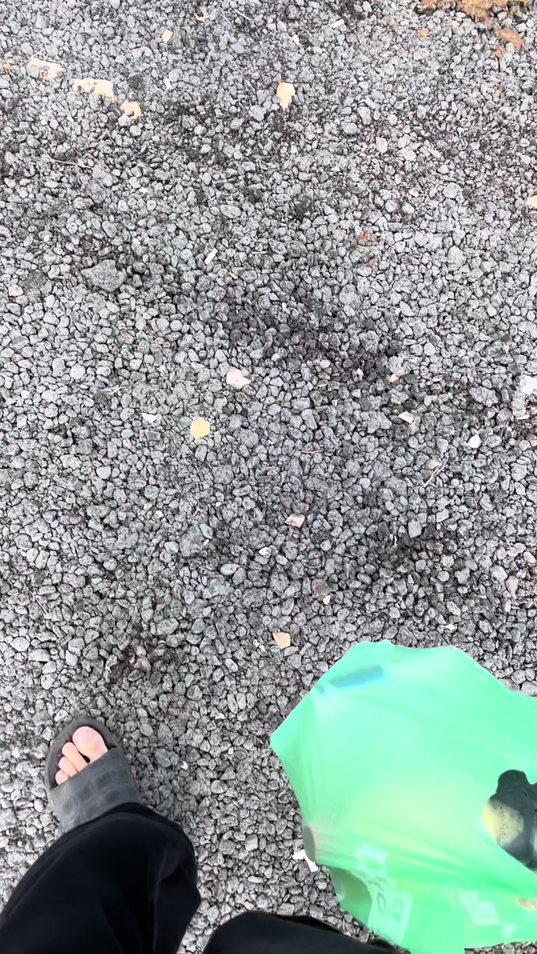@alekseevich 📿