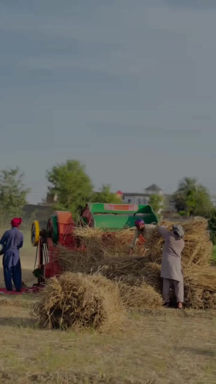 @Shameer sahi