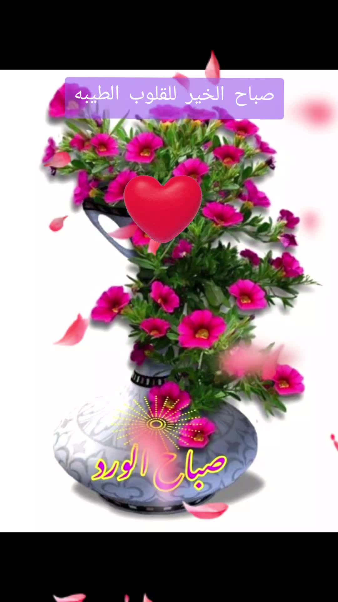 @حديقة الورد🌷🌷
