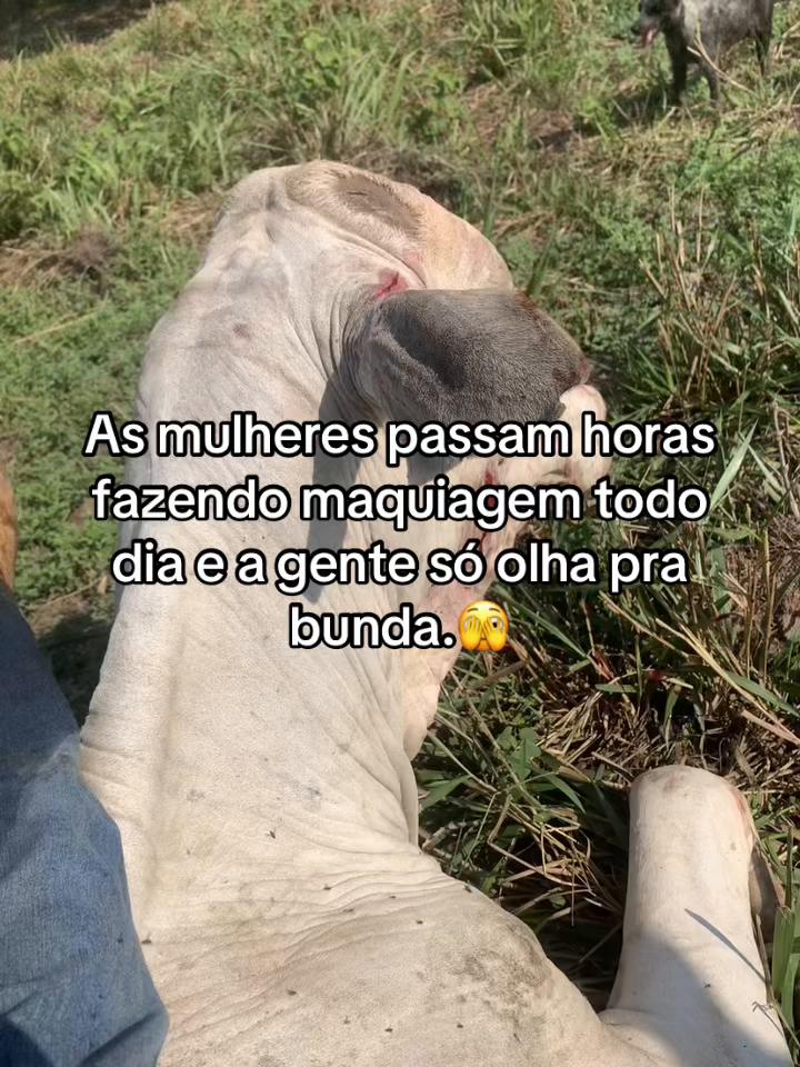 @Kauan Almeida