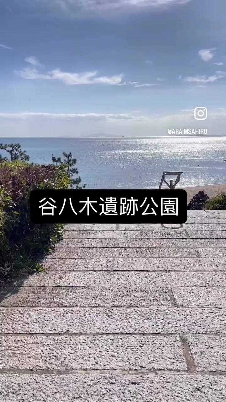 @新井正広