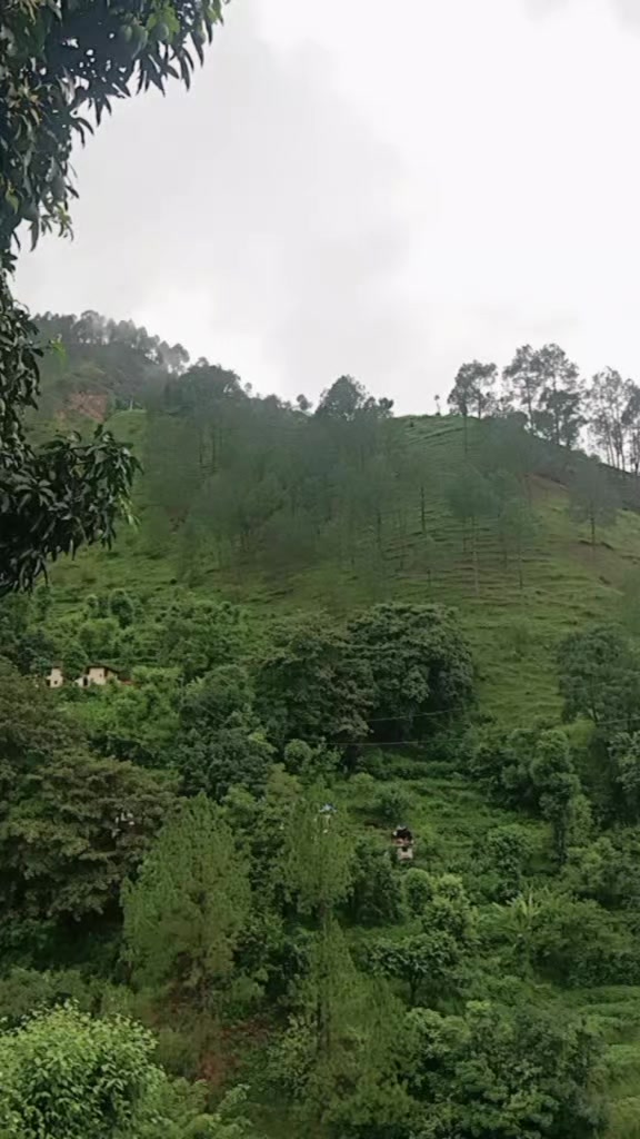 @kamalamahar25