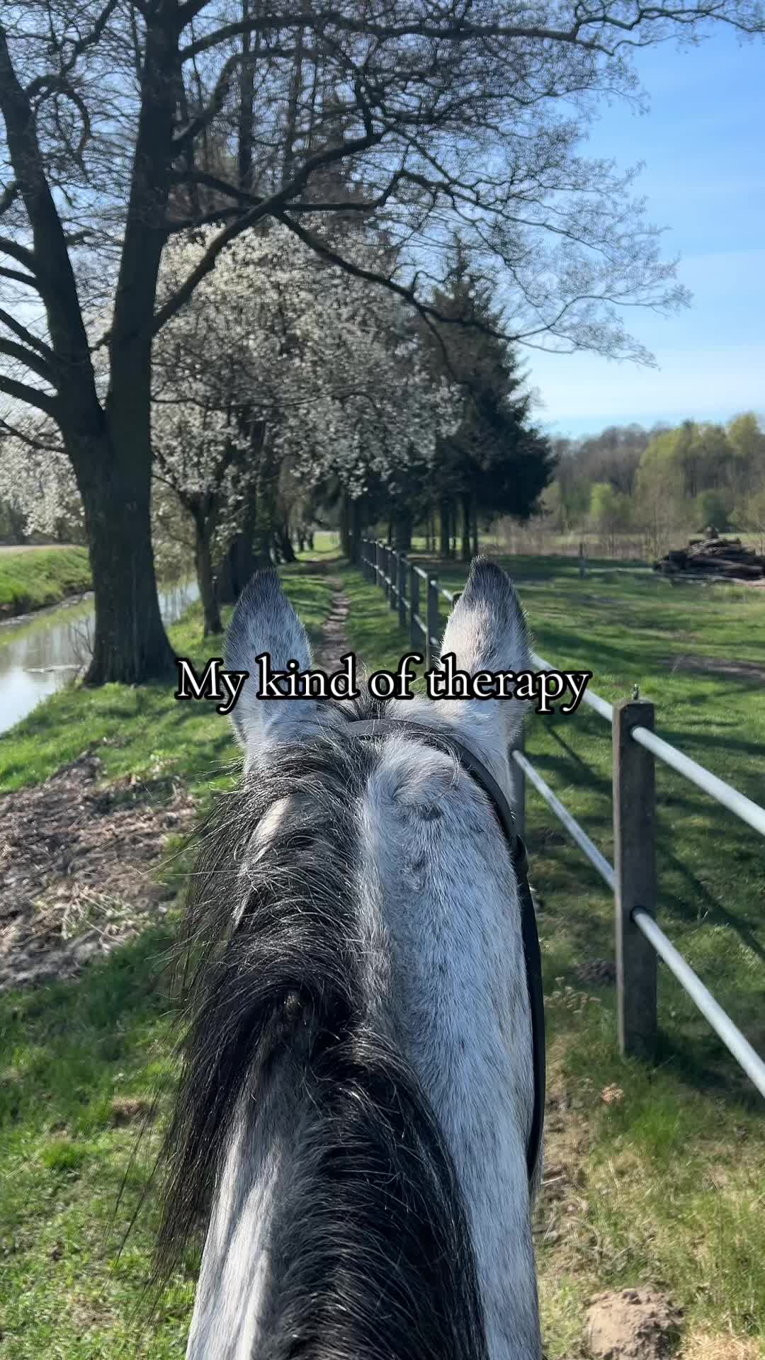 @Tori
