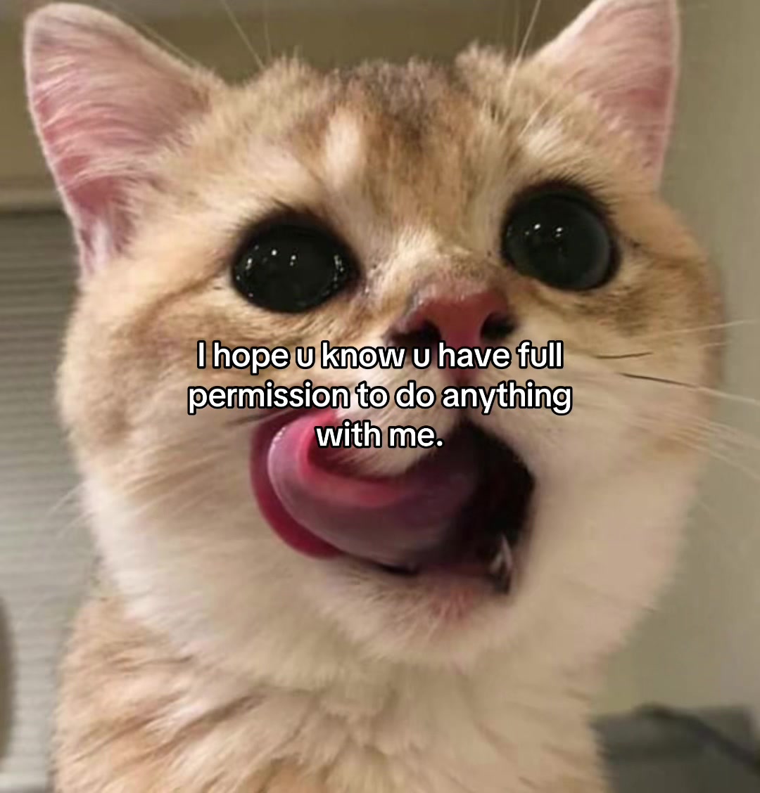 @Alice.cattok