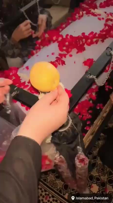 @🍁 ZAHRA Naqvi🍁