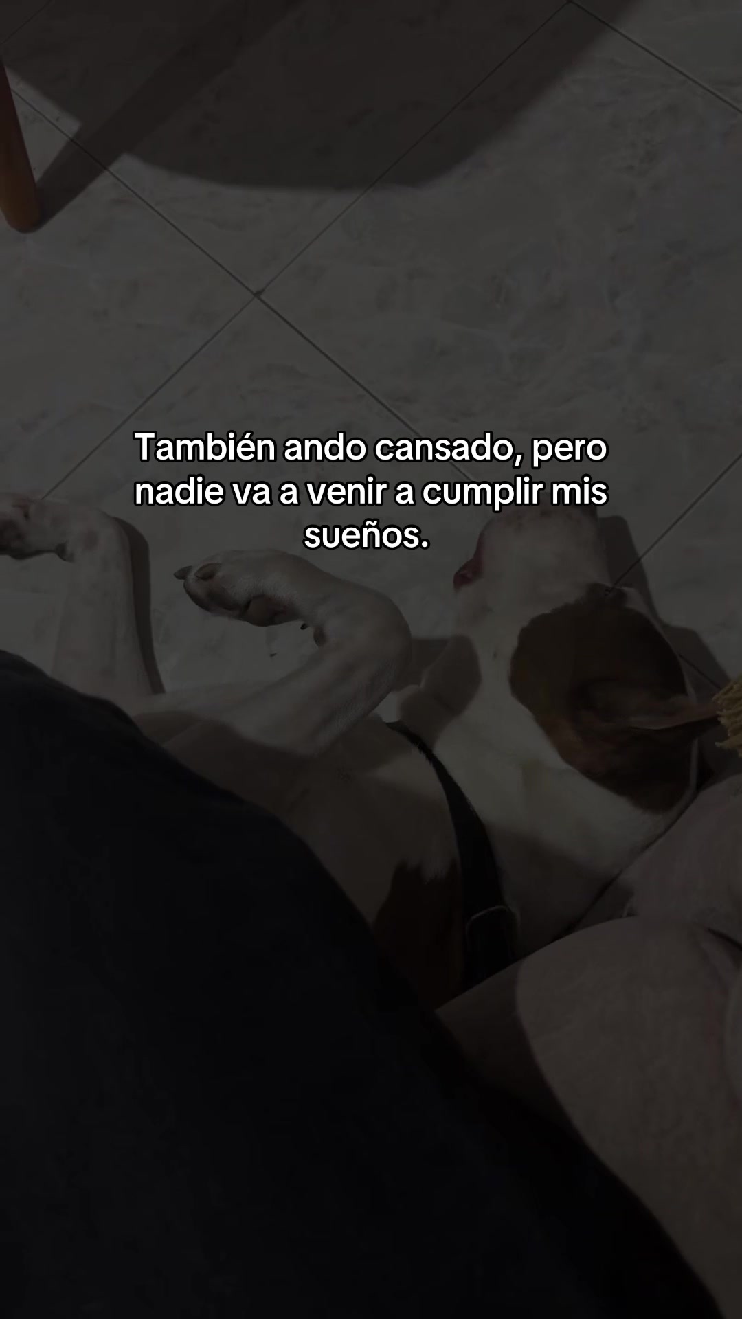 @The Samu