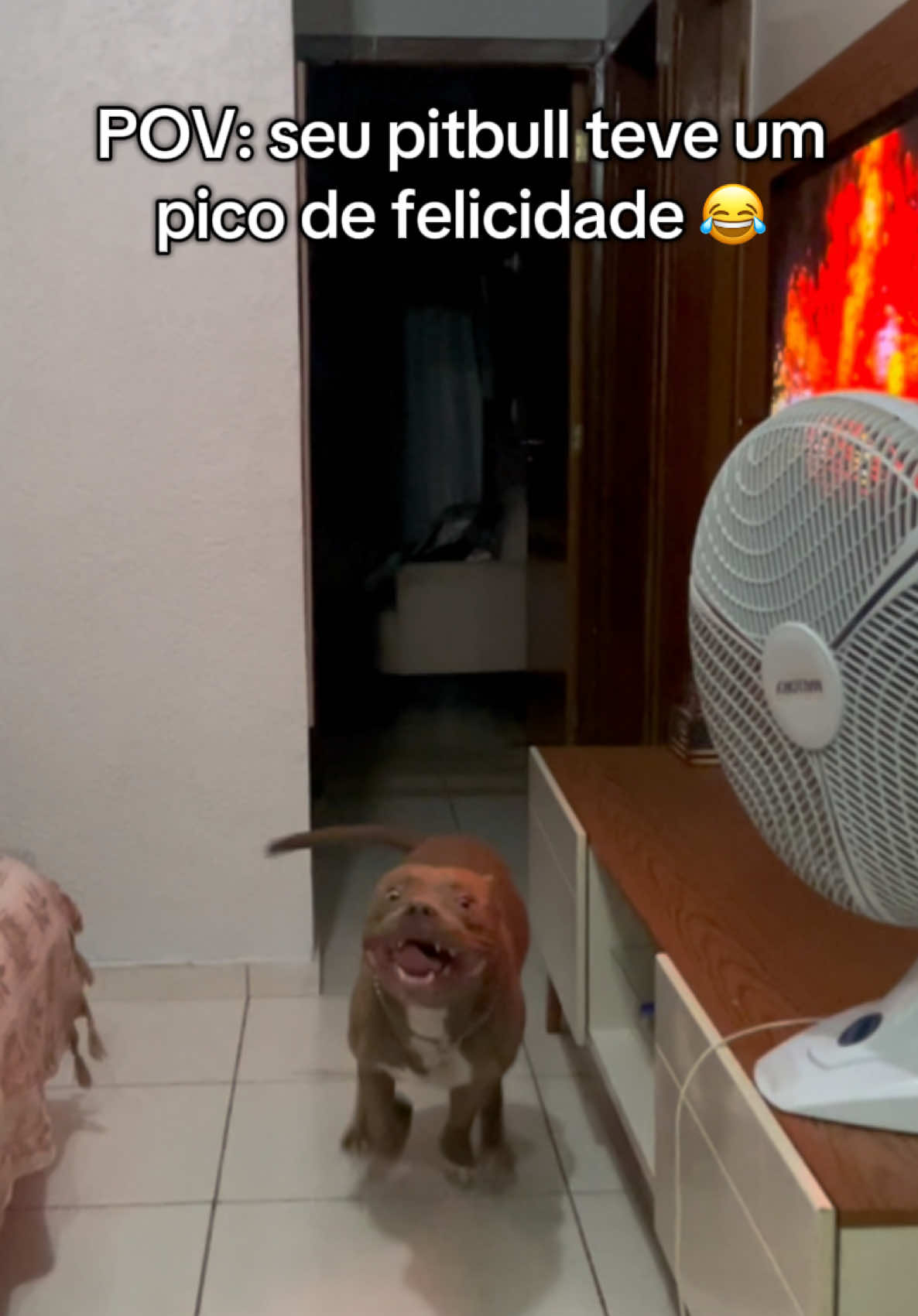 @tutoradobuda