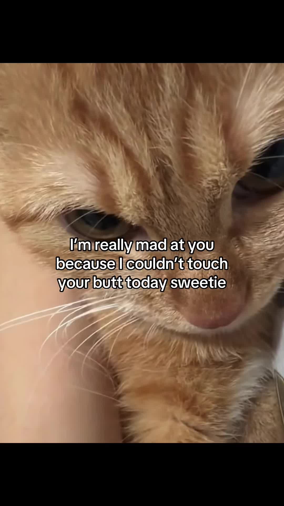 @Molly