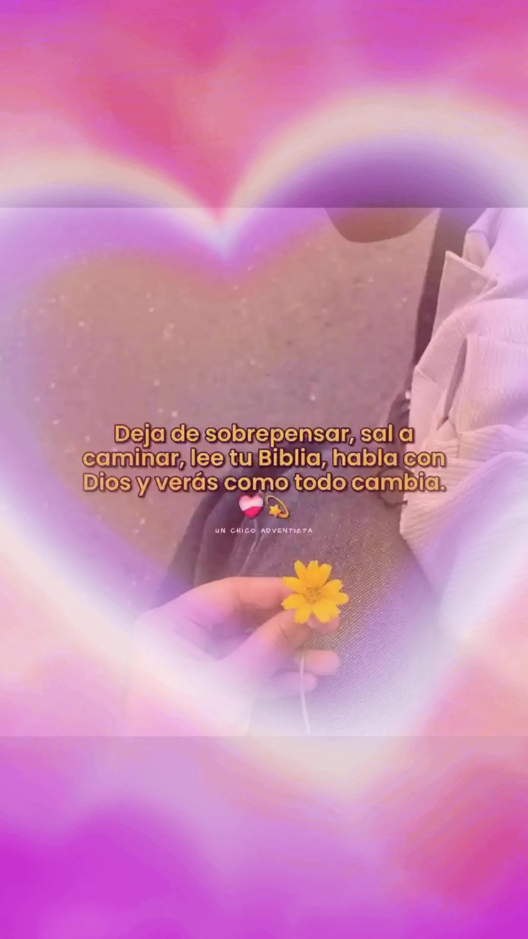 @isabella