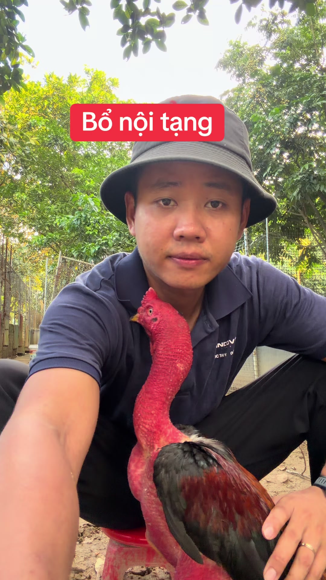 @Quyền Ba V&igrave;